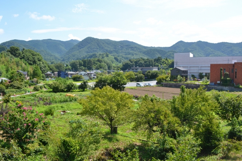 【広島市】農地を売却する方法を徹底解説!